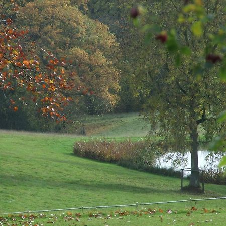 Woodlands Bed & Breakfast Barnt Green Eksteriør billede