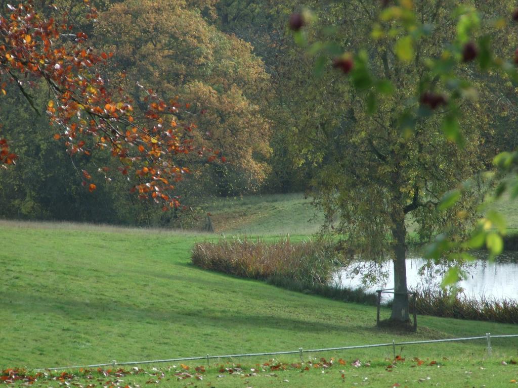 Woodlands Bed & Breakfast Barnt Green Eksteriør billede